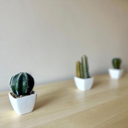 Mmrent Desert Room กดัญสก์ ภายนอก รูปภาพ