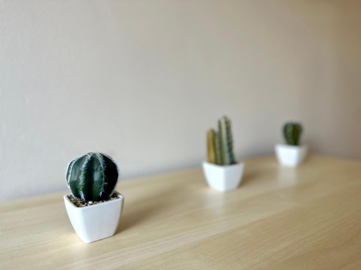 Mmrent Desert Room กดัญสก์ ภายนอก รูปภาพ